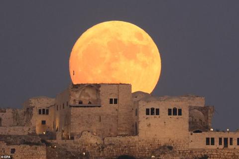 ISRAEL: Super Blue Moon rises above ancient fortress in Migdal Tsedek National Park near Rosh Haayin