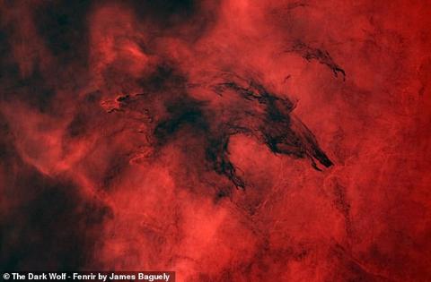 Highly commended: The Dark Wolf – Fenrir by James Baguley. This image shows a dark, thick molecular cloud in the form of a wolf, known as the Wolf Nebula or Fenrir Nebula. Baguley chose a starless image to emphasise the beautiful red background, which is a dense backdrop of hydrogen gas.