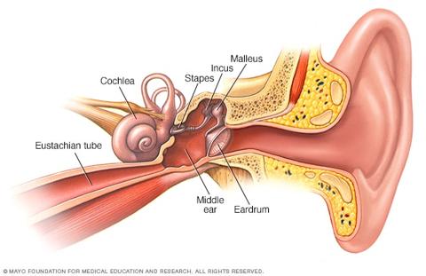 تمزق طبلة الأذن (طبلة الأذن المثقوبة) - الأعراض والأسباب - مايو كلينك